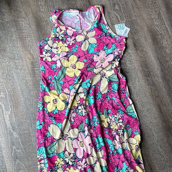 Lularoe Dani Floral dress - 2XL - Picture 1 of 6